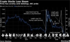 全面解析BitP最新版：功能、特点与使用指南