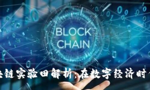 :
海南首个区块链实验田解析：在数字经济时代的创新之路