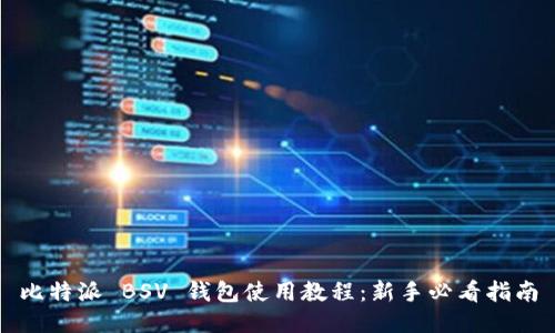 比特派 BSV 钱包使用教程：新手必看指南
