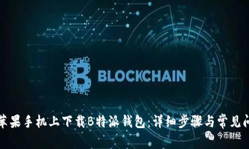 如何在苹果手机上下载B特派钱包：详细步骤与常见问题解答