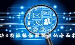 解决B特派服务器错误的全面指南