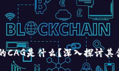 区块链中的CAG是什么？深入探讨其含义与应用