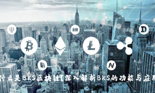 什么是BKS区块链？深入解析BKS的功能与应用