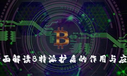 全面解读B特派护盾的作用与应用