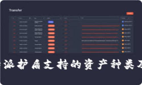 揭秘B特派护盾支持的资产种类及其优势
