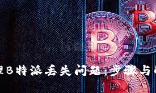 如何处理B特派丢失问题：步骤与解决方案