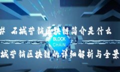 ### 石城营销区块链简介是什么**石城营销区块链