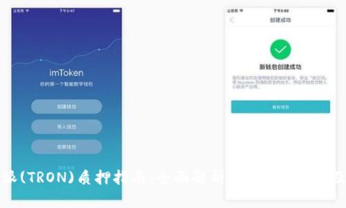 比特派(TRON)质押指南：全面解析TRX质押流程及策略