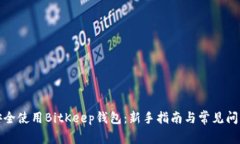 如何安全使用BitKeep钱包：新手指南与常见问题解