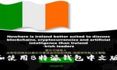 如何下载和使用B特派钱包中文版：完整指南