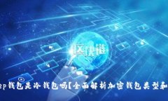BitKeep钱包是冷钱包吗？全面解析加密钱包类型和