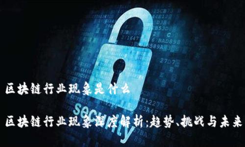 区块链行业现象是什么

区块链行业现象深度解析：趋势、挑战与未来