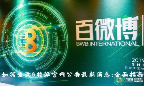 如何查询B特派官网公告最新消息：全面指南