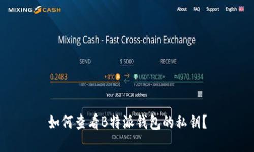 如何查看B特派钱包的私钥？