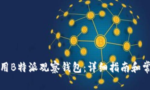 如何高效使用B特派观察钱包：详细指南和常见问题解答